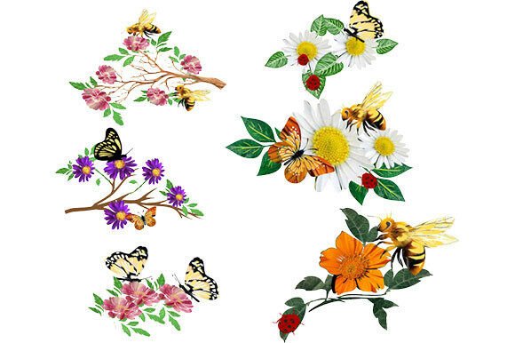 Enchanting Insect Illustrations for Creative Projects